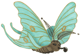 lunabaer-logo