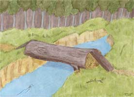 tree bridge background pictures