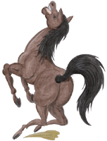 Pferd 1