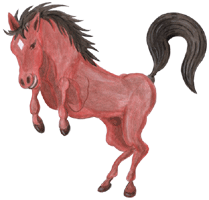 Pferd 2