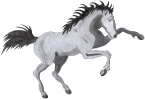 cheval 1