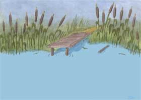 pond background pictures