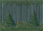 Birkenwald kostenloses Hintergrundbild