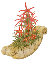 Blumengruß mit Schale - gratis Clipart