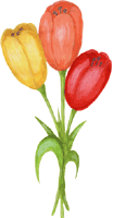 Blumenstrauß 7, free images