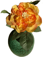 Orange Rose mit Vase, Rosalia, free images