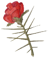 Resultado de imagen para rosas y espinas en gif