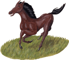 Galoppierendes Pferd - gratis Gif Clipart, Illustration