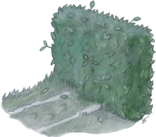 Parcour Hindernis - gratis Clipart, kostenloses Bild
