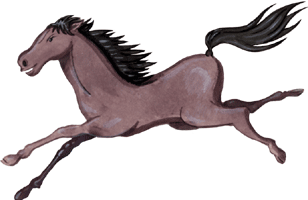 Pferd 10 - gratis Clipart