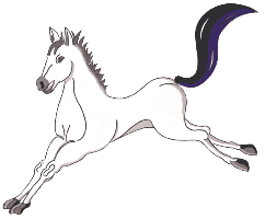 Schimmel - graziles Pferd - gratis  Clipart