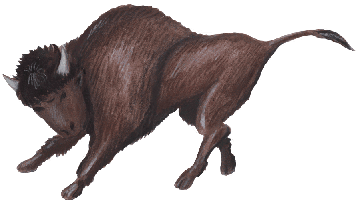 Bison 2, kostenloses Bild, Gif Clipart
