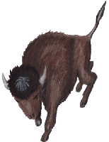 Bison 3, kostenloses Bild, Gif Clipart