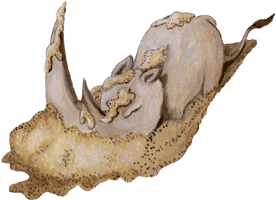 Nashorn Clipart gratis Gif Bild, Ölgrafik freier Download