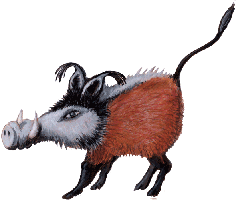 Pinselohrschwein, Potamochoerus porcus, kostenloses Bild, Gif Clipart