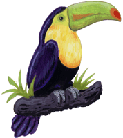 Tukan 2, Gif Bild, Gratis Clipart