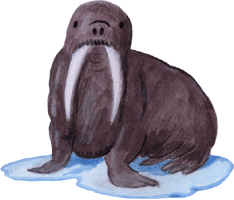 Walross, kostenloses Bild, Gif Clipart